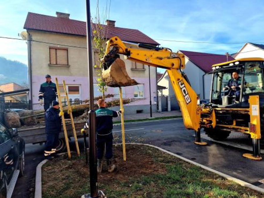 Nova stabla i trajni grmovi u Ulici dr. Franje Tuđmana