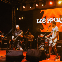 506514272_122234635892193331_2688778330327938033_n