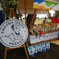 537855282_2878431265675160_5284126492963058680_n