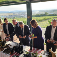 Zlatne žice Slavonije - punjenje butelja 25 (3)