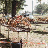 544807378_1358541336273386_6021996606208524928_n