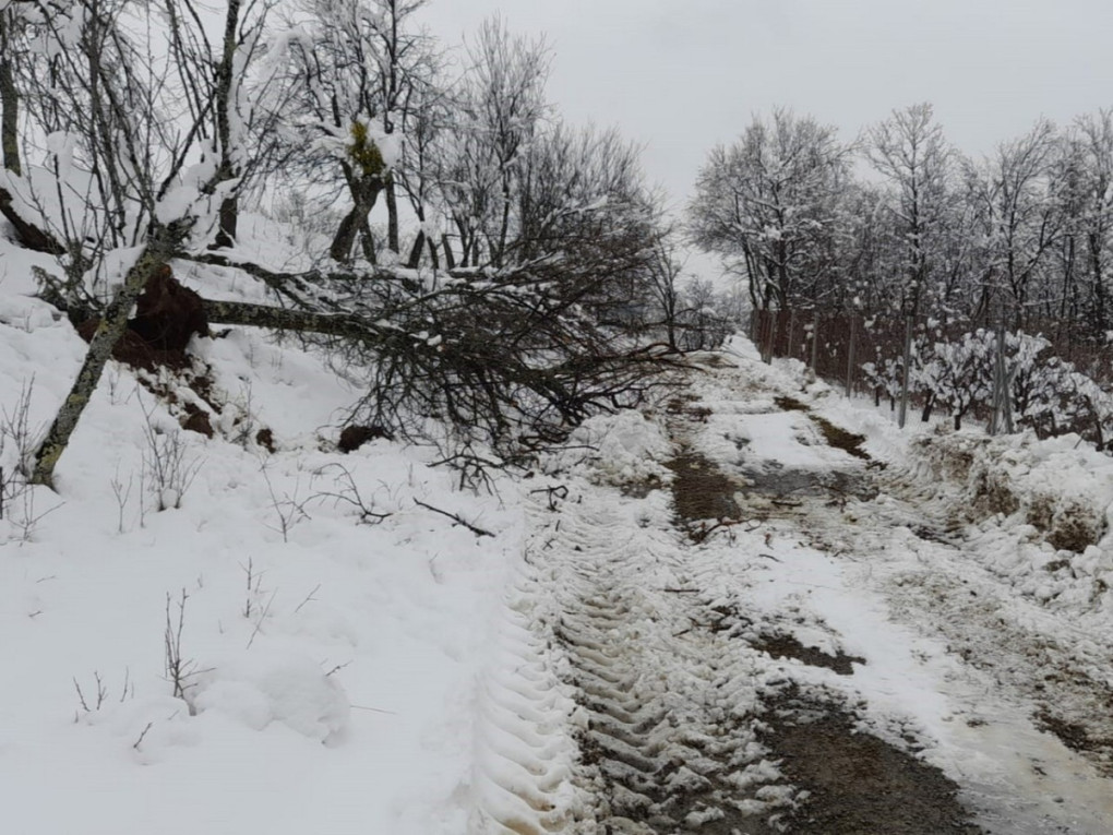 Zimska služba: Čistimo snijeg i uklanjamo granje i popucalo drveće