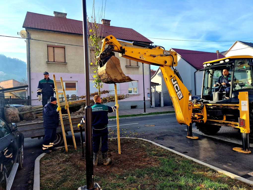 Nova stabla i trajni grmovi u Ulici dr. Franje Tuđmana