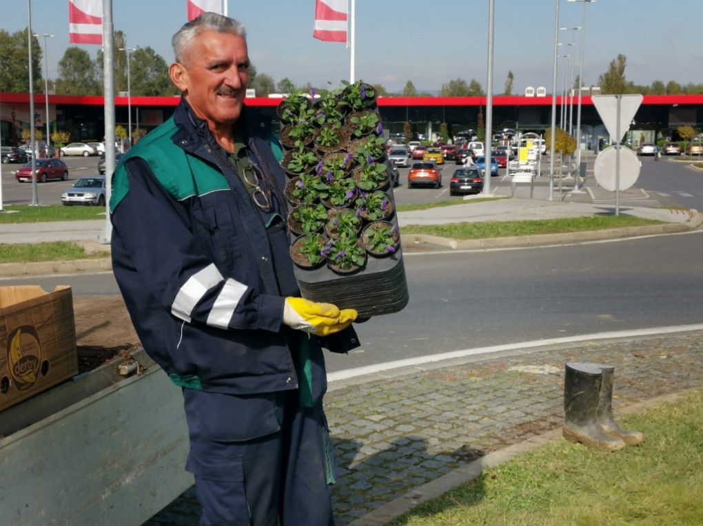 Za lijepu zimu i šareno proljeće: U tijeku jesensko uređenje zelenih površina 
