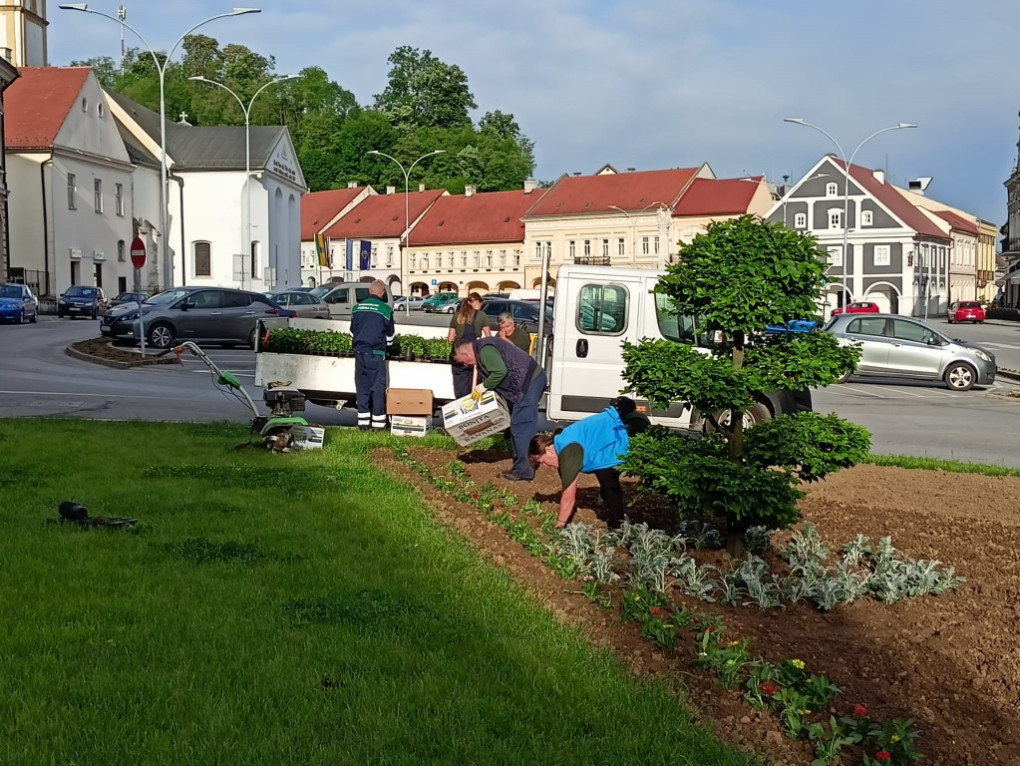 Započela sadnja cvijeća na gradskim zelenim površinama