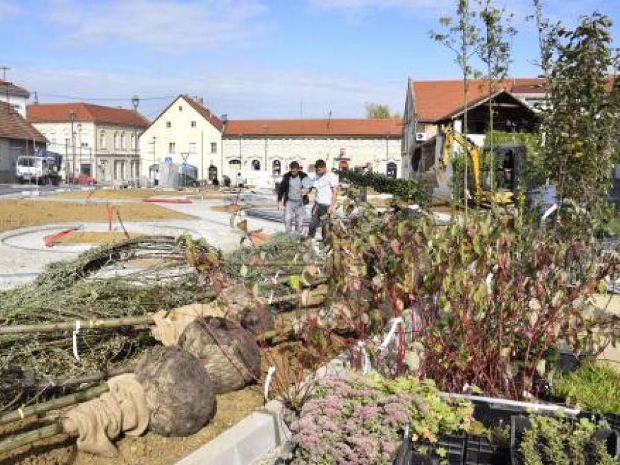 NOVI TEMATSKI PARK Počelo hortikulturno uređenje zapadnog ulaza u Požegu 