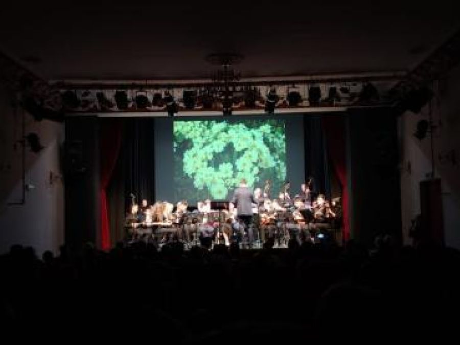 Humanitarni koncert - Požeški tamburaški orkestar