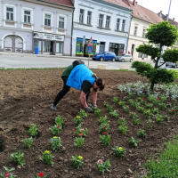 ljetnice2024 2