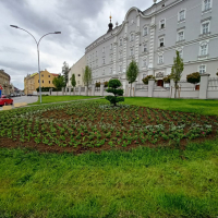 ljetnice2024 8