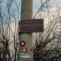 621642406_1207053028226959_6629791942722320570_n