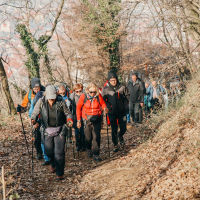 621817253_1207052938226968_3003084949084204885_n