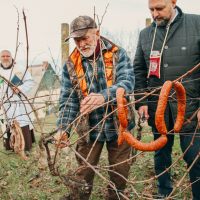 621865563_1207054554893473_8259042158882801625_n