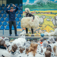 635059757_1503441228450062_6722276931180971168_n