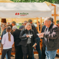 Požeši kotlić 4